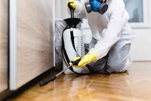 Best Pest Removal Services  in Russellville, KY