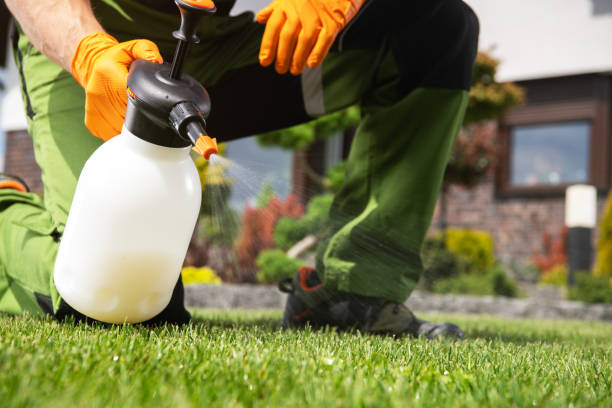 Best Best Pest Control Companies  in Russellville, KY