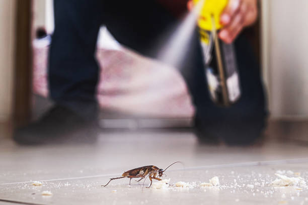 Pest Control for Restaurants in Russellville, KY